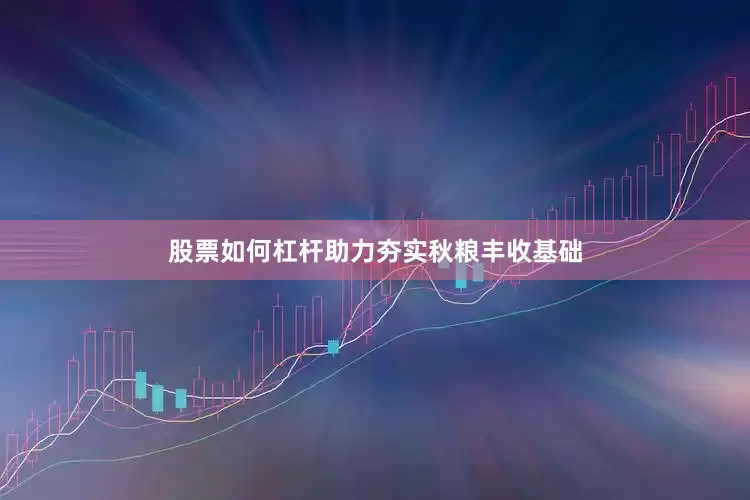 股票如何杠杆助力夯实秋粮丰收基础