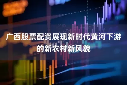 广西股票配资展现新时代黄河下游的新农村新风貌